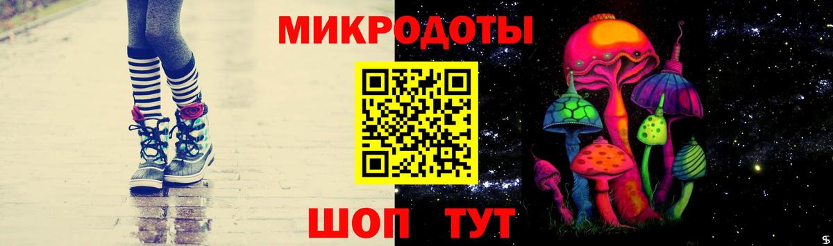 Псилоцибиновые грибы Psilocybine cubensis Октябрьский
