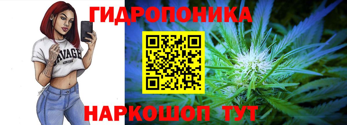 МАРИХУАНА конопля Октябрьский